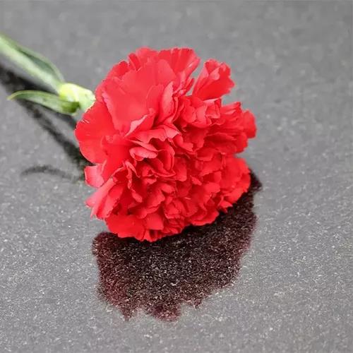 攻略丨了解多姿多彩的瓷磚紋理，才能裝出時(shí)尚有范的美好生活！
(圖3)